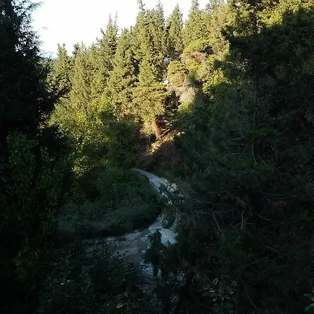 Jaktstuga Forest Ağva