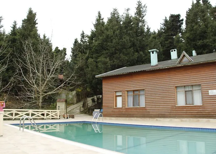 Forest Agva (Marmara)