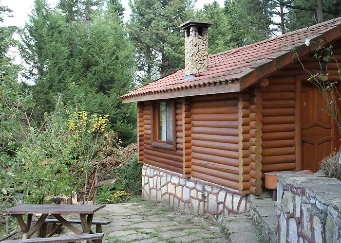 Forest * Agva (Marmara)