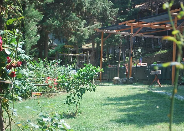 Forest Agva (Marmara)