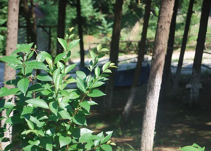 Chata Forest Agva (Marmara)