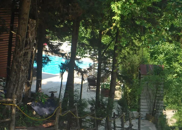 Forest * Agva (Marmara)