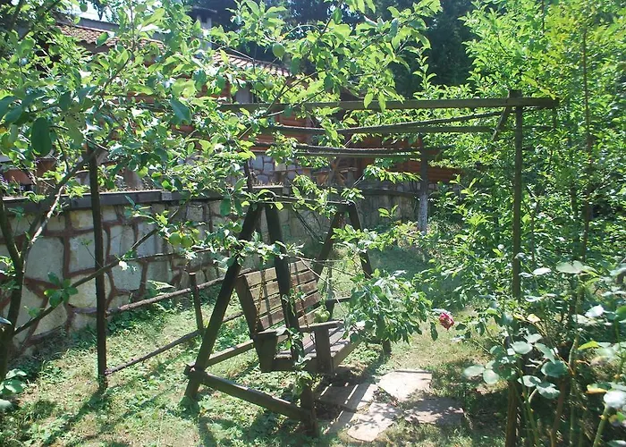 Forest Agva (Marmara)