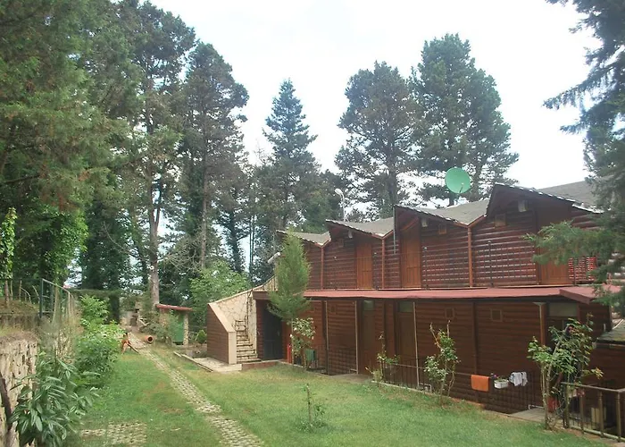 Forest Agva (Marmara)