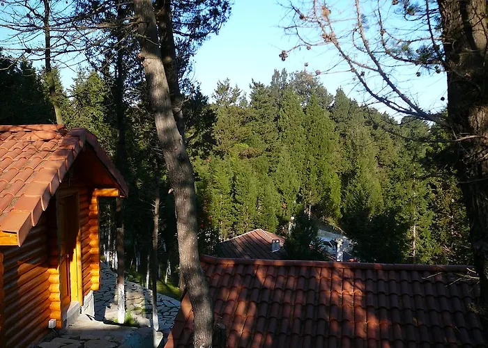 Chata Forest Agva (Marmara)