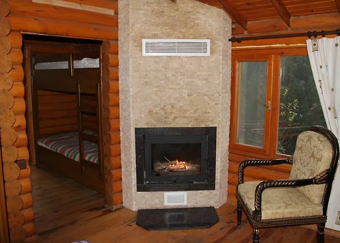 Forest * Agva (Marmara)