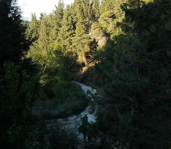 Chata Forest Agva (Marmara)