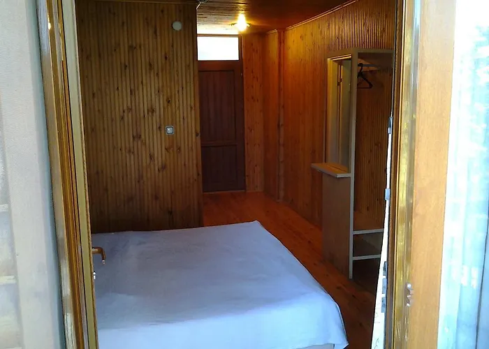 Forest Agva (Marmara)