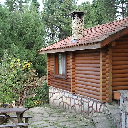 Forest * Agva (Marmara)