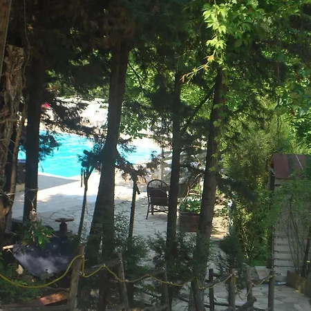 Forest * Agva (Marmara)