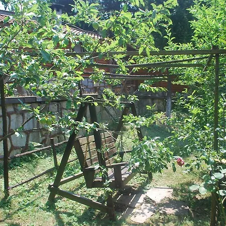 Forest Agva (Marmara)