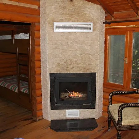 Forest * Agva (Marmara)