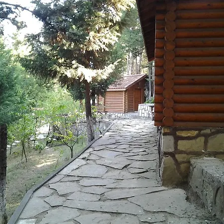 Lodge Forest Agva (Marmara)